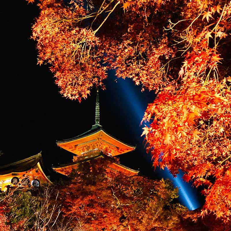 京都（伏見稻荷神社清水寺夜楓）_191129_0001