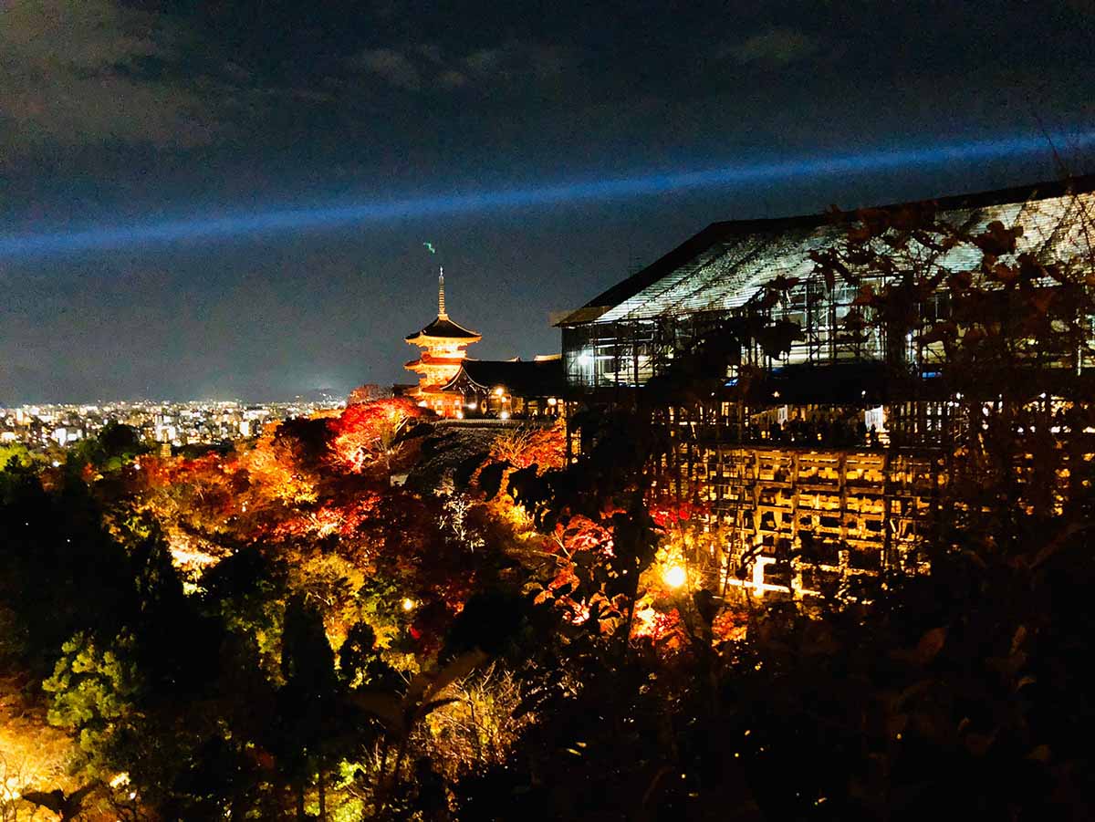 京都（伏見稻荷神社清水寺夜楓）_191129_0006