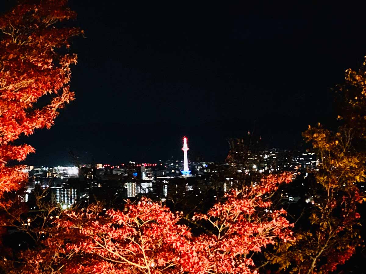 京都（伏見稻荷神社清水寺夜楓）_191129_0007