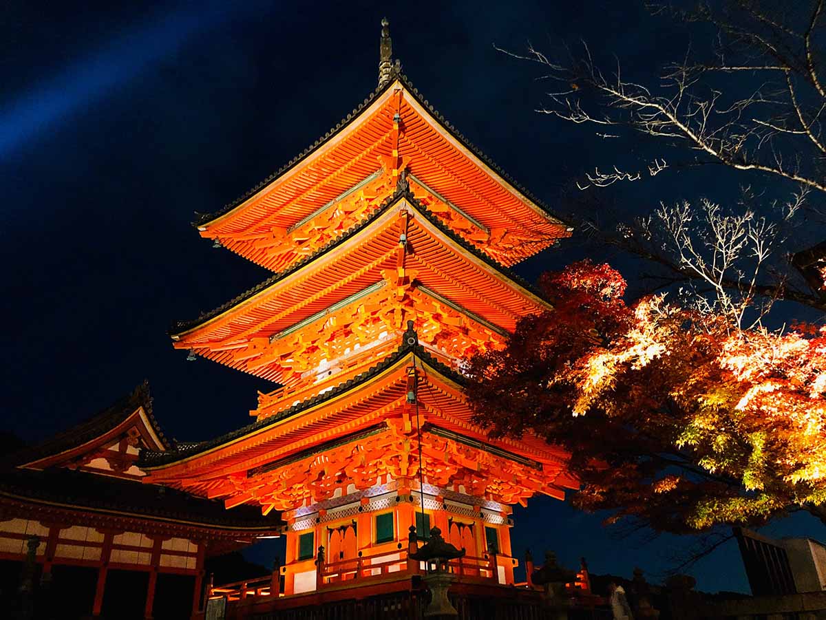 京都（伏見稻荷神社清水寺夜楓）_191129_0008