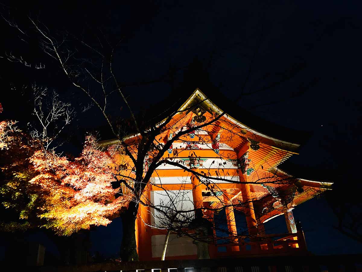 京都（伏見稻荷神社清水寺夜楓）_191129_0009