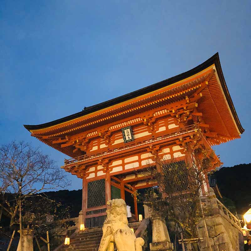 京都（伏見稻荷神社清水寺夜楓）_191129_0010