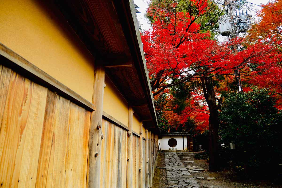 京都（伏見稻荷神社清水寺夜楓）_191129_0017