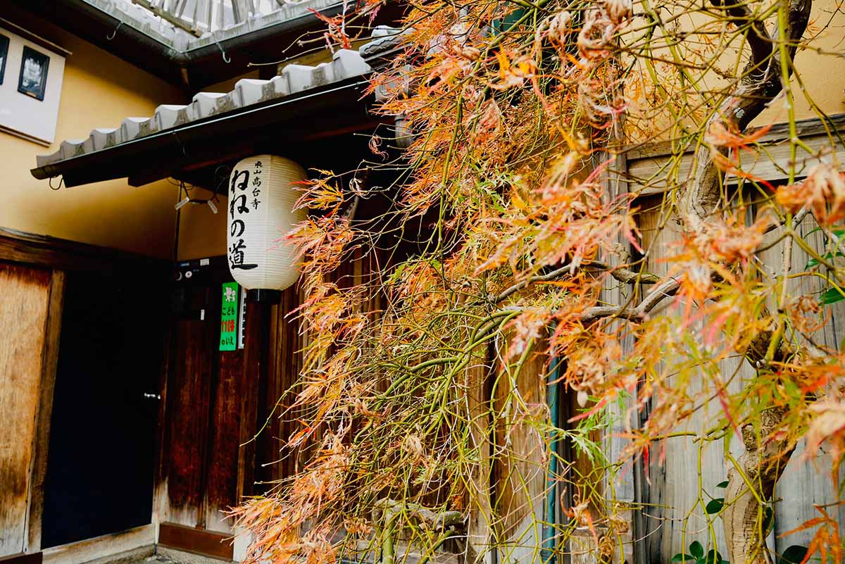 京都（伏見稻荷神社清水寺夜楓）_191129_0019