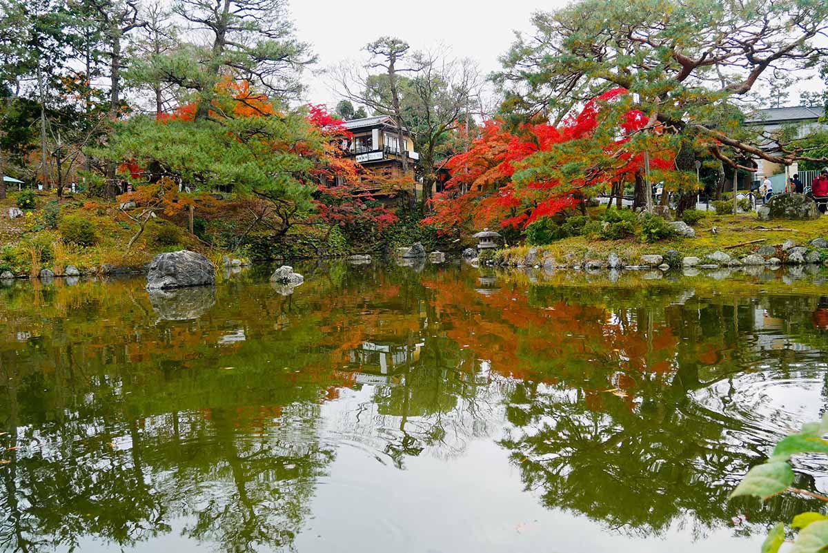 京都（伏見稻荷神社清水寺夜楓）_191129_0025