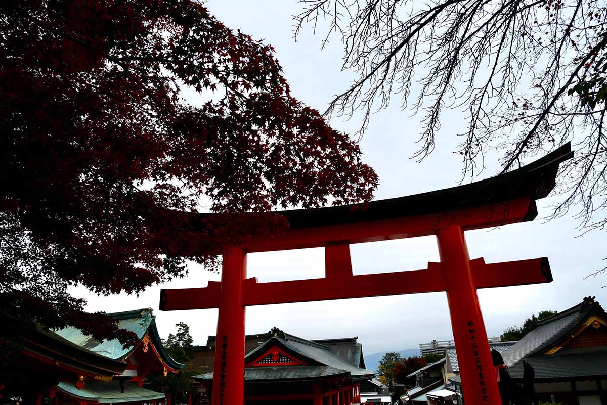 京都（伏見稻荷神社清水寺夜楓）_191129_0033