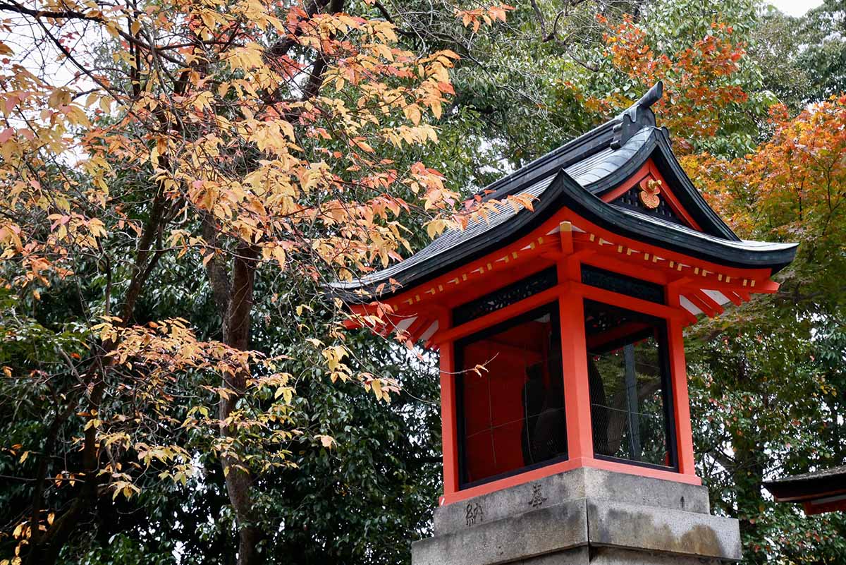 京都（伏見稻荷神社清水寺夜楓）_191129_0041